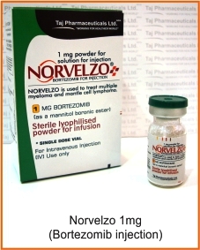 norvelzo (bortezomib 1mg injection)